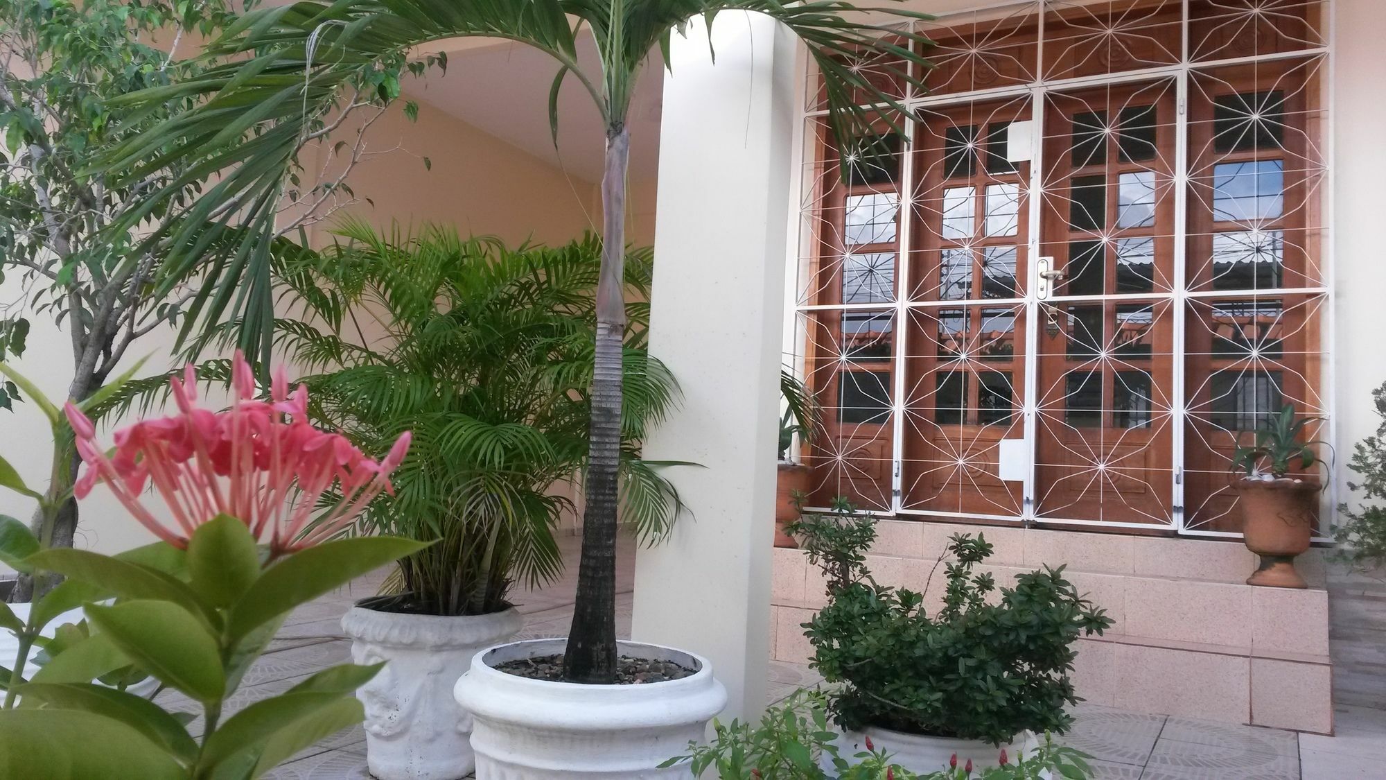 Each Hostel Da Amazonia Manaus Esterno foto